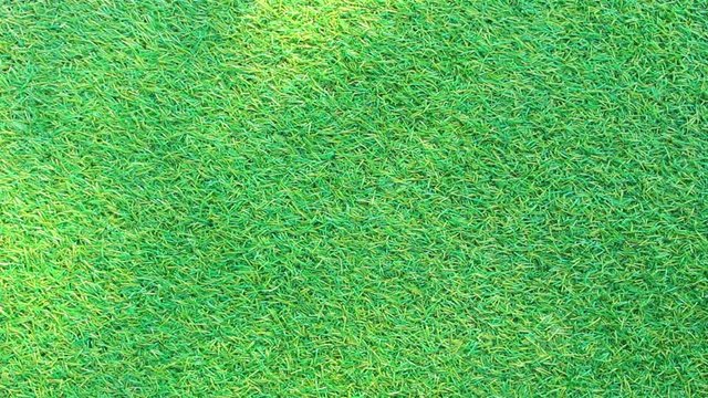 shadow on grass background