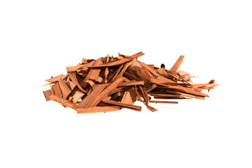 cut reed leaves isolated on white background