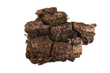 tree bark isolated on white background
