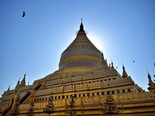 Fototapeta premium The glory Shwezigon Pagoda in the afternoon, one of the famous landmark in Bagan World Heritage site, Mandalay, Myanmar