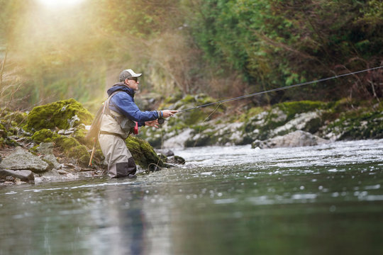 trout fly fisherman in river