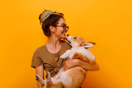  Cute brunette woman in white t shirt and jeans holding and embracing Shiba Inu dog on plane red background. Love to the animals, pets concept. cheerful  woman holding Welsh Corgi puppy