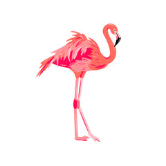 Pink flamingo vector illustration. Design element isolated on white background.