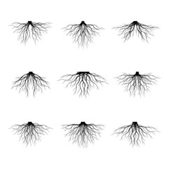Set Black naked plant Roots. Vector Illustration. Collection of icons.