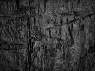 Black abstract grunge background. Old wood texture. Black and white background. Rotten tree trunk....