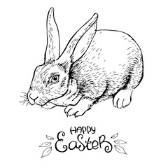 Ink pen Easter rabbit on white background. Happy Easter. Vector illustration. Perfect for greeting card, invitation, postcard, print.