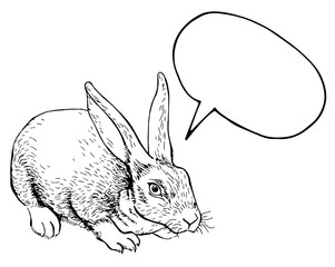 Ink pen rabbit with space for text on white background. Vector illustration. Perfect for greeting card, invitation, postcard, print.