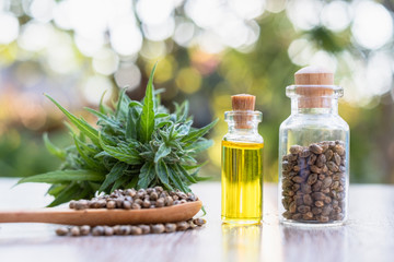 CBD hemp oil in a glass bottle. Hemp seeds in a wooden spoon And the hemp leaf is placed on the table. The concept of cannabis for medicinal purposes. Hemp oil extraction components.