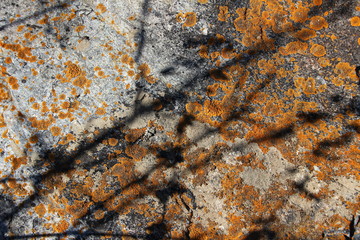 stone texture with shadow