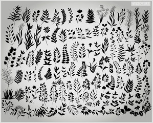 Set of vector plants and twigs on a light gray background
