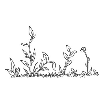 Vector Sketch Wild Growth Grass