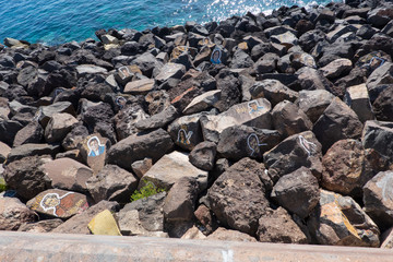 Famous Musician portraits