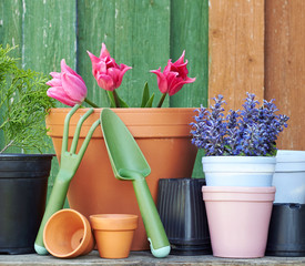 Terracotta clay flower pots with black plastic containers and garden tools on wooden table on colorful bright rustic background, nursery and gardening concept, closeup, copy space