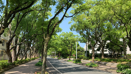 公園の風景