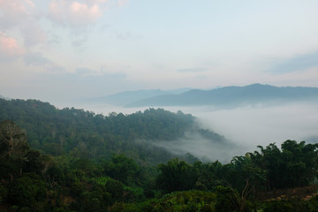 Aerial view of mist, cloud and fog hanging over a lush tropical rainforest in the m