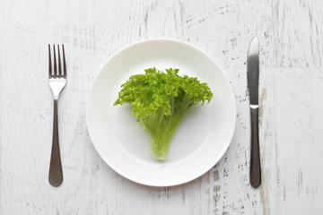 Food for weight loss and healthy lifestyle, little food, diet