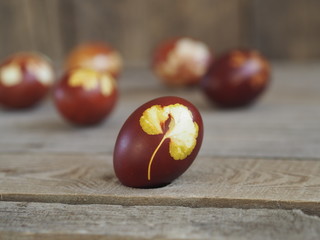 Easter eggs painted onion peel with a pattern of fresh herbs on a wooden ancient background. We color the eggs according to the old eco-friendly method with peeled onions.