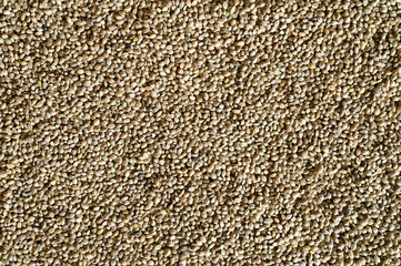 background of hemp seeds. space for text