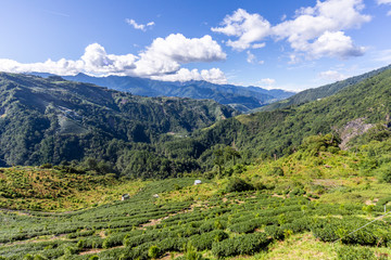 Naklejka premium Panoramic picture from the Taiwanese village Lishan over the imoressive mountain landscape in summer