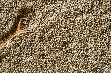 background of hemp seeds with a rustic wooden spoon. space for text