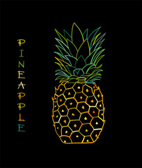 Pineapple colorful, sketch for your design