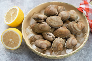 Close-up of raw iced vongole clams in a serving pan and lemon, studio shot on a beige stone surface