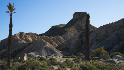 Monte seco en el desierto de Tabernas de la provincia de Almeria