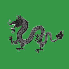 Obraz premium Illustration of Traditional chinese Dragon on a green isolated background , vector illustration