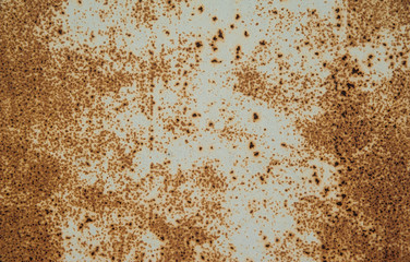 Heavily corroded metal surface with remnants of faded light gray paint. Abstract background, texture.