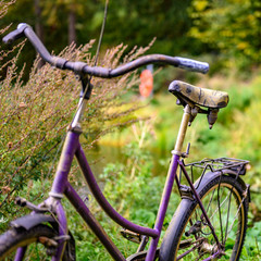 Fototapeta na wymiar Abandoned weathered bike in a park on the edge of a lake.