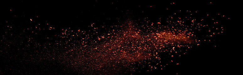 red colorful holi paint explosion on black background, panoramic shot