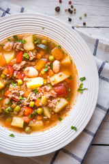 Delicious hamburger soup with meat and vegetables