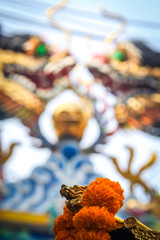 Dragon in Chinese new year in China town