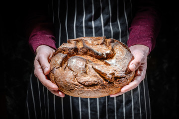 Baker man holding rustic organic loaf of bread in hands - rural bakery