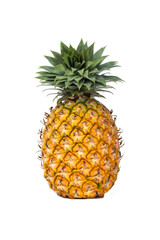 single whole pineapple isolated on white background.