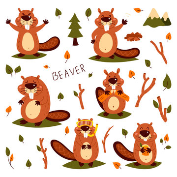 Set of cute beavers. Sticker. Children's, funny. Cartoon comic book style vector illustration of forest wild animals