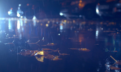 Autumn rain in the night city