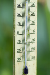old thermometer for greenhouse use