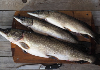 River fish pike on a cutting board in the kitchen, prepared for cleaning and butchering. Winter fishing.