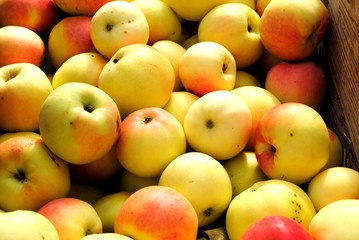 ruit, apple, food, fresh, apples, healthy, market, diet, juicy, agriculture, 
