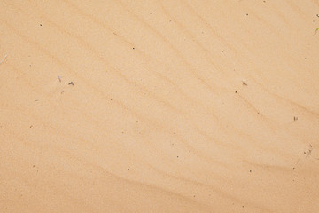 Fototapeta na wymiar texture of sand on the beach for background