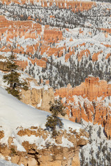 Scenic Winter Landscape in Bryce Canyon National Park