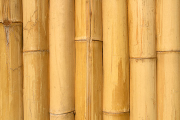 bamboo wall texture background