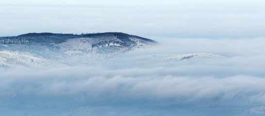 forest covered with snow and ice frost in inversion clouds