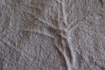 texture of fabric