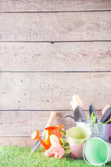 Gardening tools and flowers on the terrace and green grass in garden, Concept of spring gardening hobby copy space
