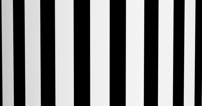Funky zebra. Animal design. Zebra skin background Able to loop seamless 4k