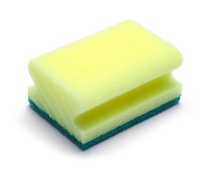 Sponge