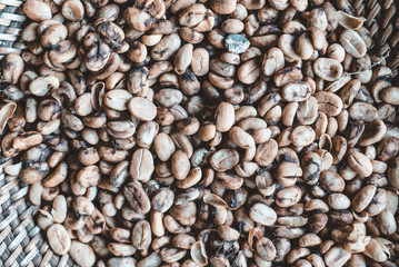 Kopi Luwak Coffee Beans
