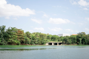 Forest green and river water with green color